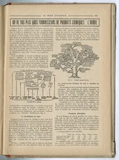 Diagram: The Tree - The largest supplier of chemical products