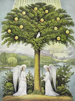 Manner: The tree of life