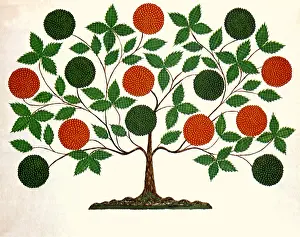 Burden: The Tree of Life