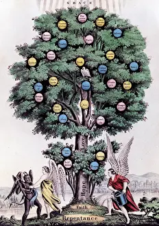 Repentance: The Tree of Life. The Christian