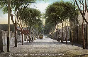 Cobblestones: Tree-lined street in Chorrillos, Lima, Peru, South America