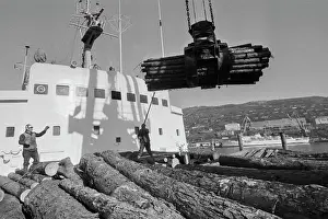 Loads: Tree loading