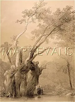 Copts: TREE OF METEREAH