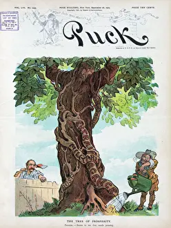 Prosperity: The tree of prosperity