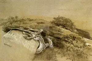 Roots: Tree Roots, by Winslow Homer