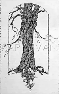 Gnarled: TREE AND SNOWDROPS