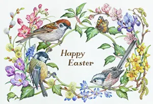 Catkins: Tree sparrow, coal tit and longtailed tit