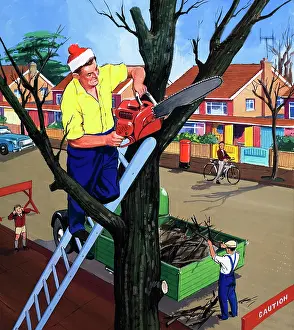 Lumberjack: Tree surgeon