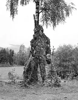 Trolls: TREE TROLL