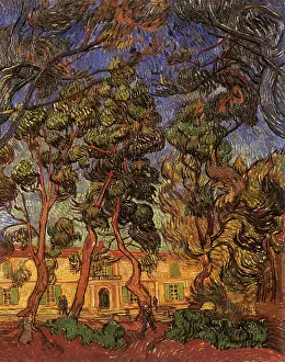 Remy: Trees in Front of the Asylum at Saint-Remy, by Van Gogh