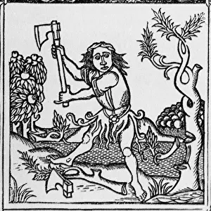 Litrature: The trees & the axe