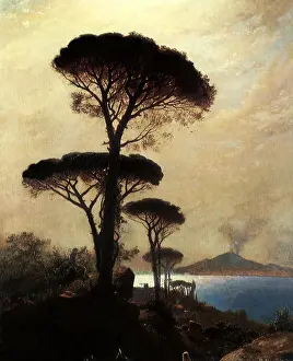 Haseltine: Trees by the Bay, Naples, Italy