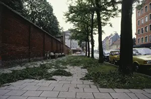 Hailstone: Trees after hail in Munich, 1984