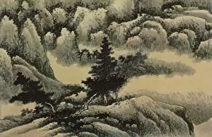 Pines: Trees in a Landscape
