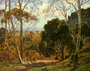 Wendt: Trees in Meadow
