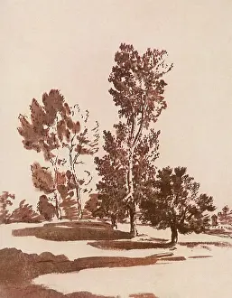 Prudhon: Trees in a Meadow