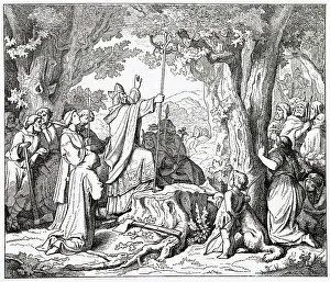 Destroys: TREES/OAK