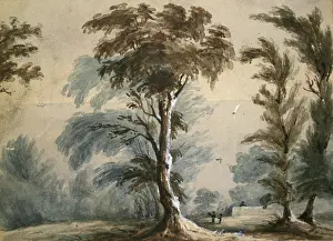 Donats: Trees possibly at St Donat's Glamorganshire