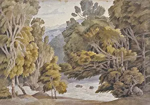 Towne: Trees and Rocks, Ambleside