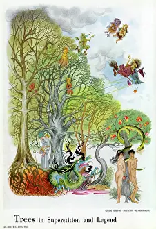 Superstition: Trees in Superstition and Legend by Pauline Baynes