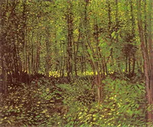 Tangled: Trees and Undergrowth, by Van Gogh