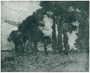 Entangled: Trees In The Wind