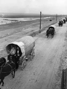 Lebensraum: Trek of Bessarabia Germans, 1940