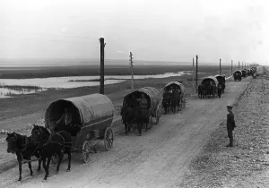 Resettle: Trek of Bessarabia Germans, 1940