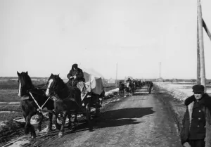 Horse Drawn: Trek of Volhynian Germans, 1940