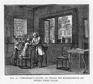 Multiplication: TREMBLEY IN HIS STUDY