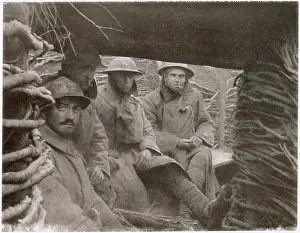 Twigs: Trench Camaraderie in 1917