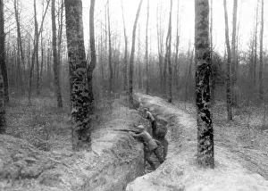 Thicket: Trenches in the Argonne, 1915