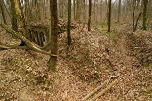 Steeply: Trenches on Haut Chevauchee - Argonne
