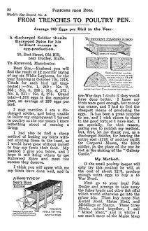Hens: From the trenches to poultry pen: Fortunes from Eggs