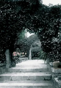 Tresco: Tresco, the Abbey Ruins c1867