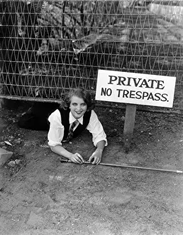 Trespass: Tresspasser