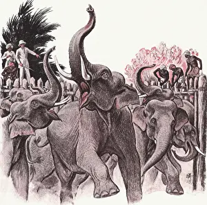 Tribesmen: Tribesmen Trap herd of Elephants
