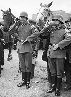 Adopted: Tribute to war horses in Berlin, 1936