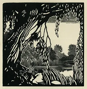 Tribute - The Willow