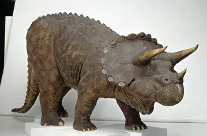 Ceratopia: Triceratops