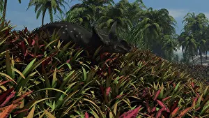 Alertness: Triceratops grazing on lush foliage