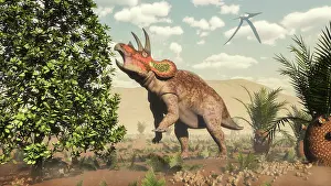 Magnolia: Triceratops grazing on a magnolia tree