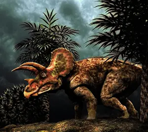 Alertness: Triceratops was a herbivorous dinosaur from the Cretaceous ?