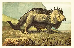F. John: Triceratops prorsus, extinct herbivorous dinosaur