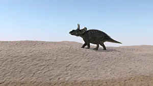 Clear: Triceratops walking across a barren landscape