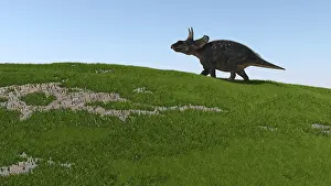 Savanna: Triceratops walking across a grassy field
