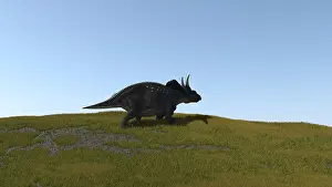 Clear: Triceratops walking across a grassy field