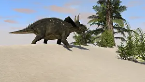 Tempskya: Triceratops walking along a prehistoric landscape