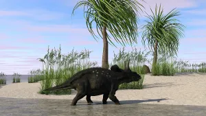Breeze: Triceratops walking along the shoreline