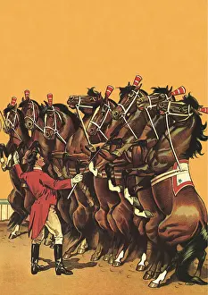 Ponies: Trick Ponies